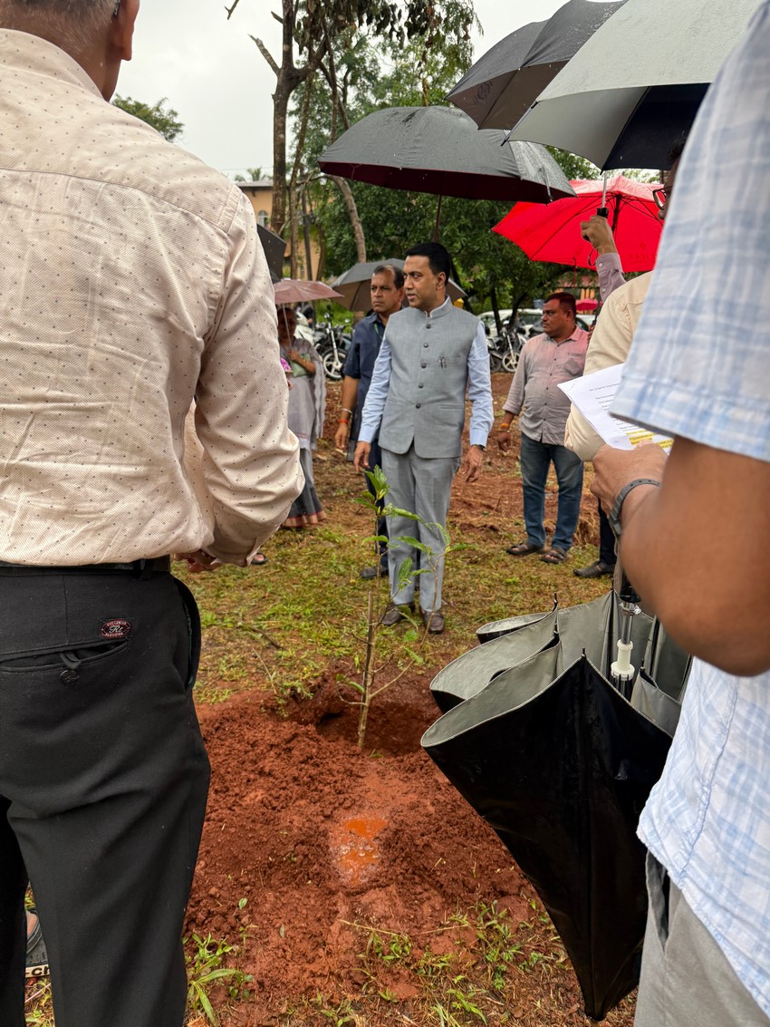 Green cover at Govt College Sanquelim