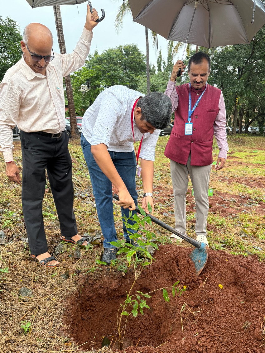 Green cover at Govt College Sanquelim