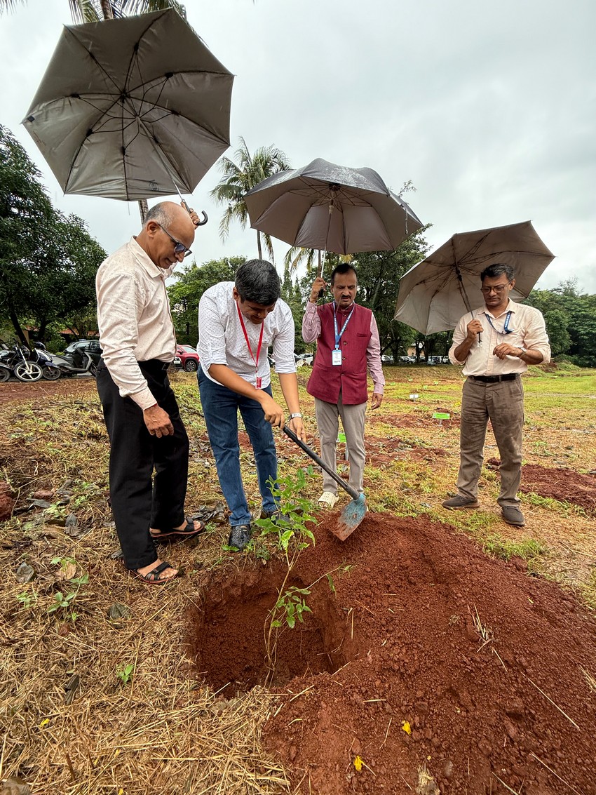 Green cover at Govt College Sanquelim